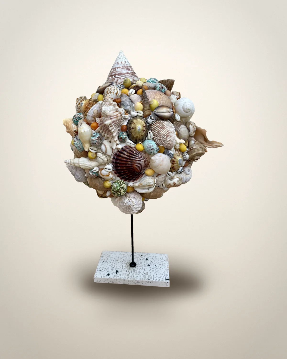 Coquillages, vue studio